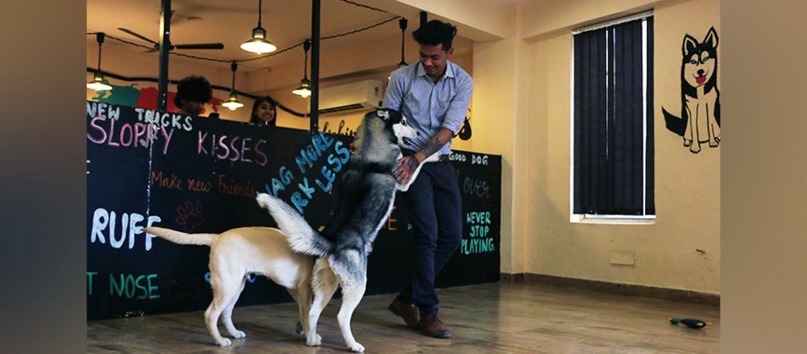 Puppychino - Dog Friendly cafe
